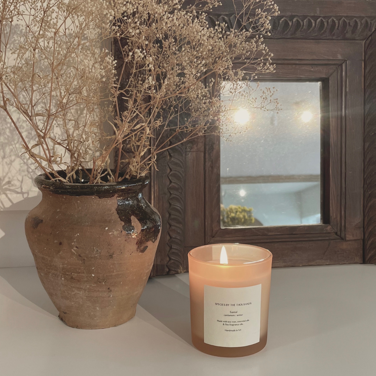 Species by the Thousands - Wholesale Jar/Filled Candle - Santal, Cardamom + Amber Handcrafted Scented Soy Candle4