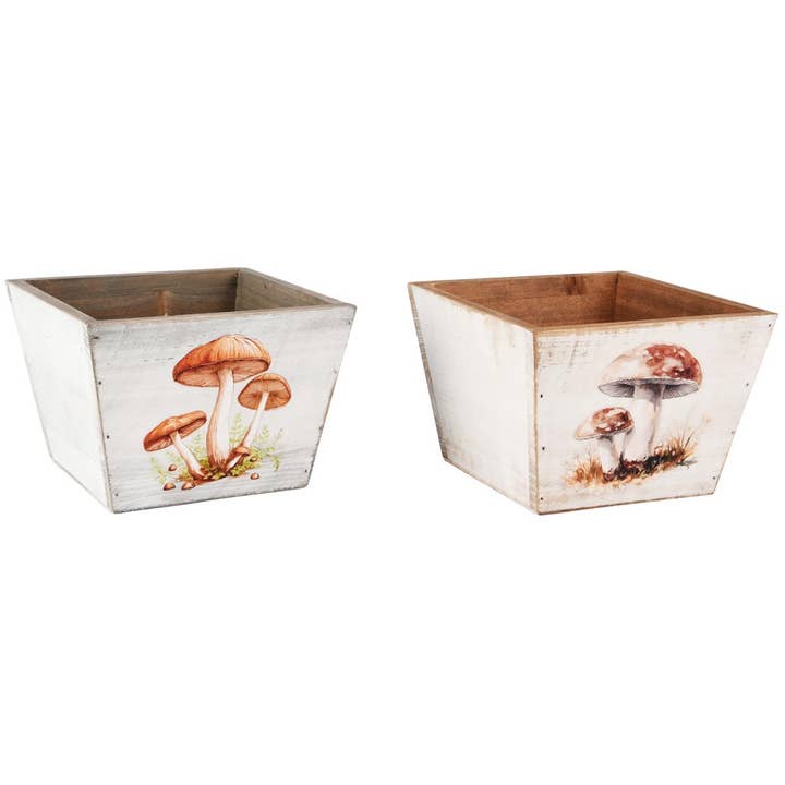 Korb mit Pilzen, natur/weiß, Holz, 15x15x11cm, 2ass. für den Großhandel von Dekoratief