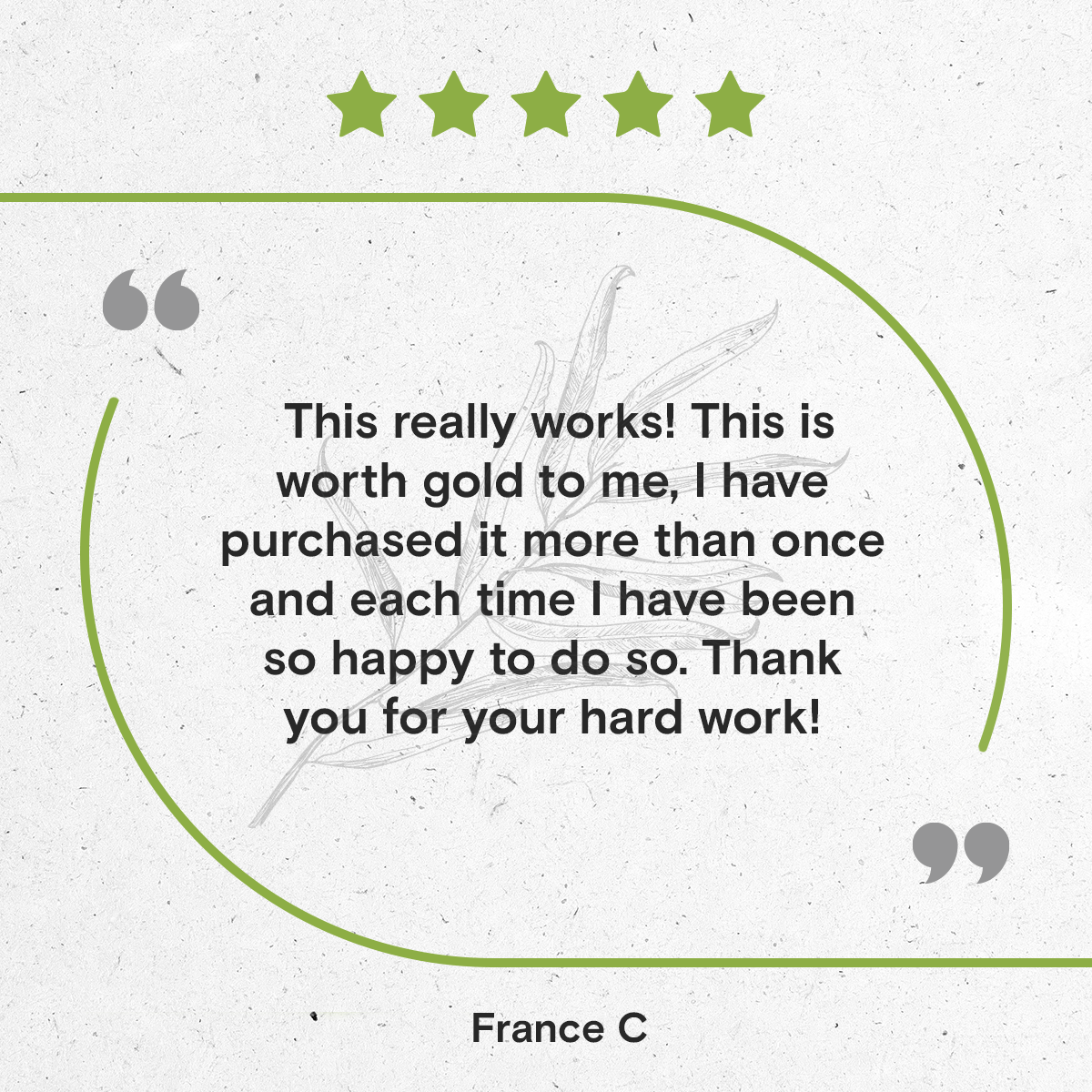 Secrets Of The Tribe - Wholesale Tincture - White Willow Tincture6