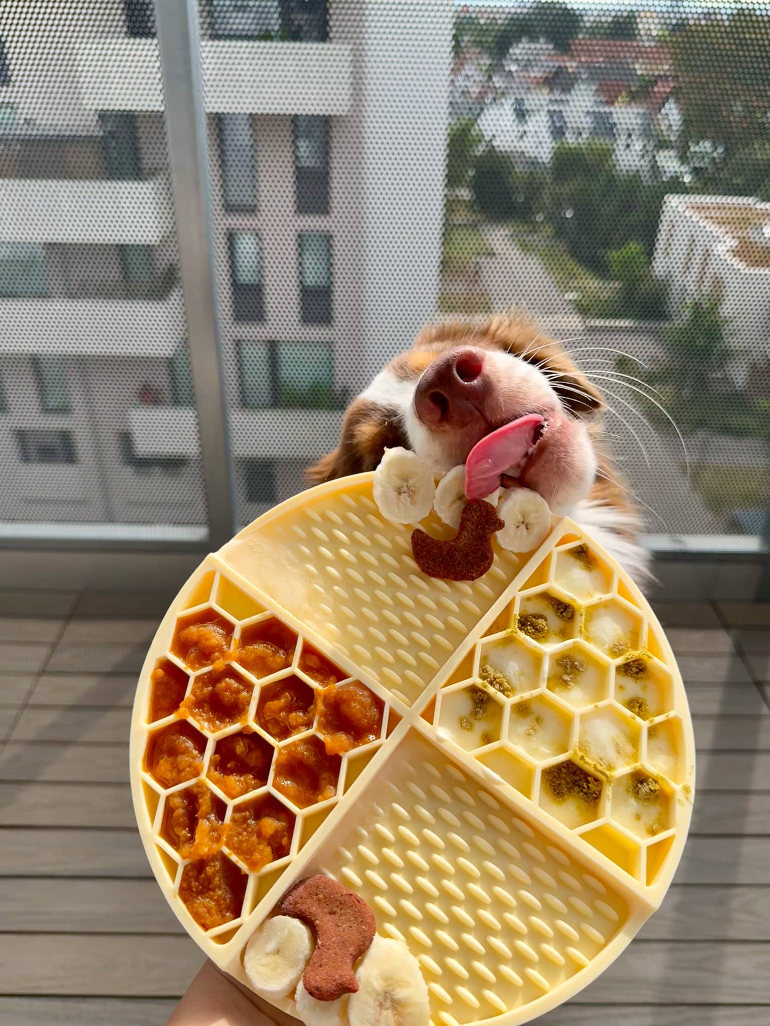 Doggotique - Wholesale Pet Food Mat - Dog - Lick mat Honey Dog, Slow Feeder, Feeding Station8