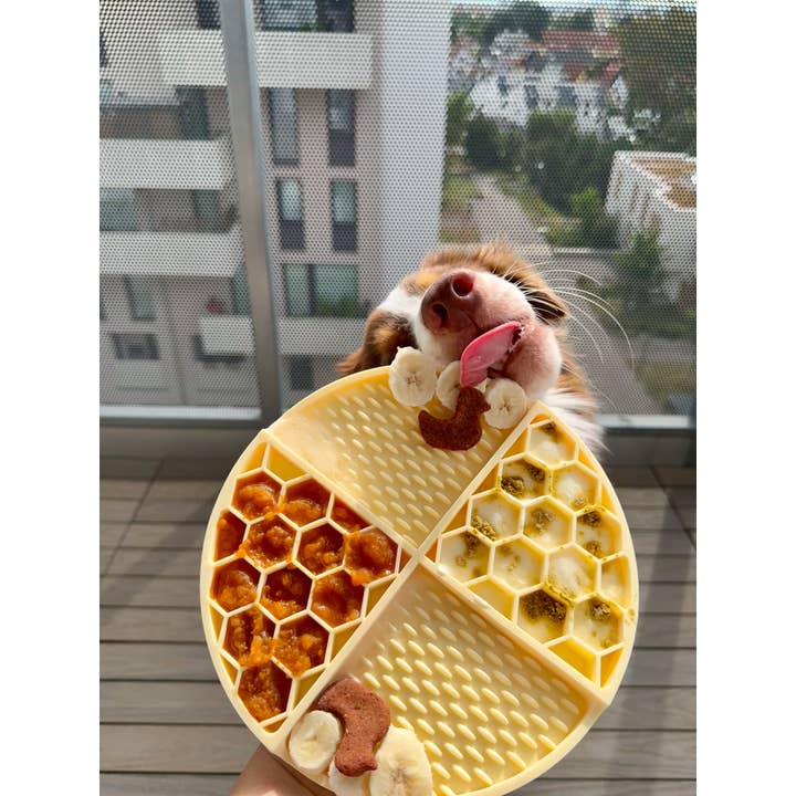 Doggotique - Wholesale Pet Food Mat - Dog - Lick mat Honey Dog, Slow Feeder, Feeding Station8