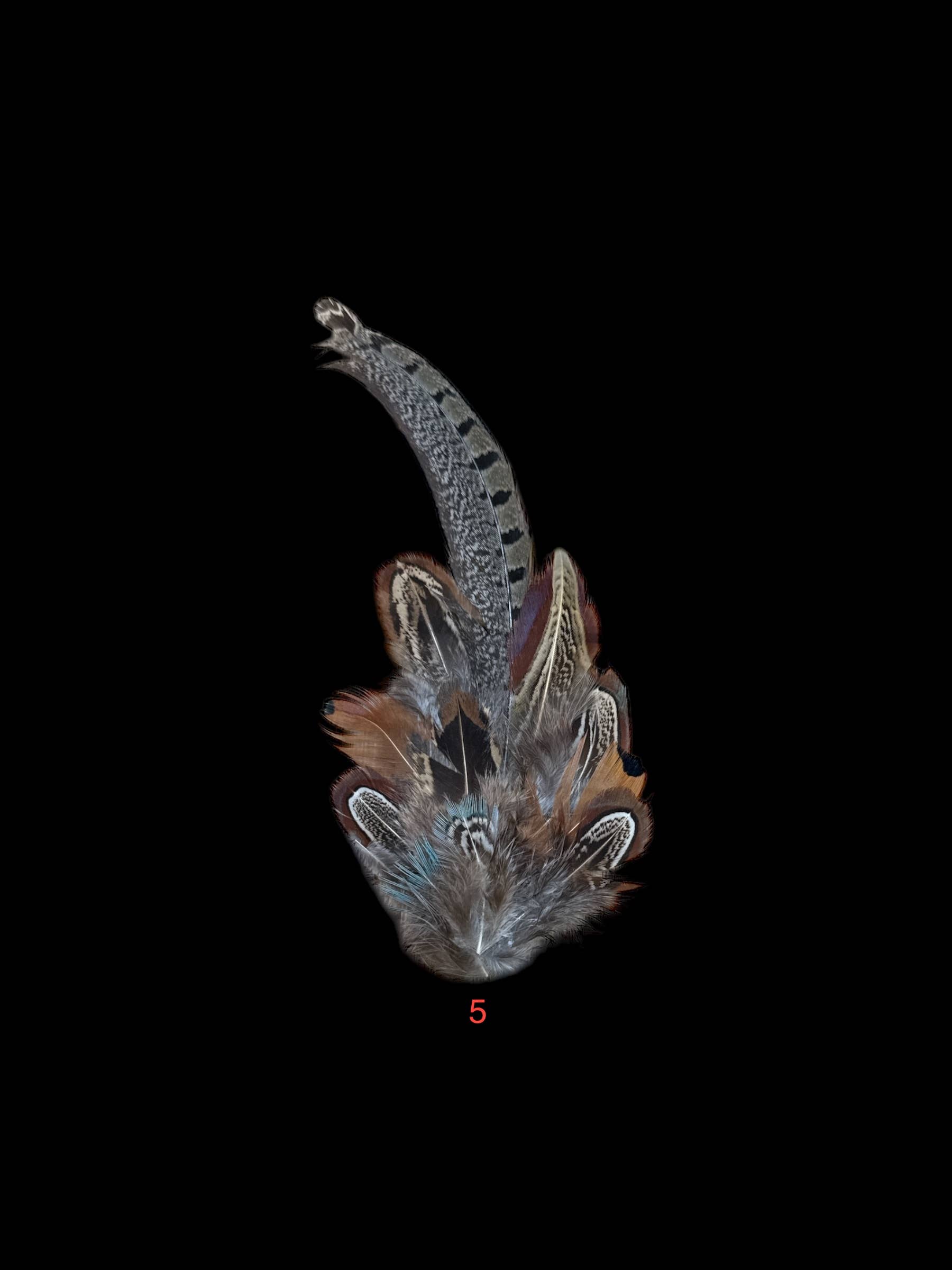 Nati Natash - Vendita all'ingrosso Accessori per cappelli - Donna - Piume Decorative per Cappello Laterale (Da BOSSOLI DI FUCILE)4