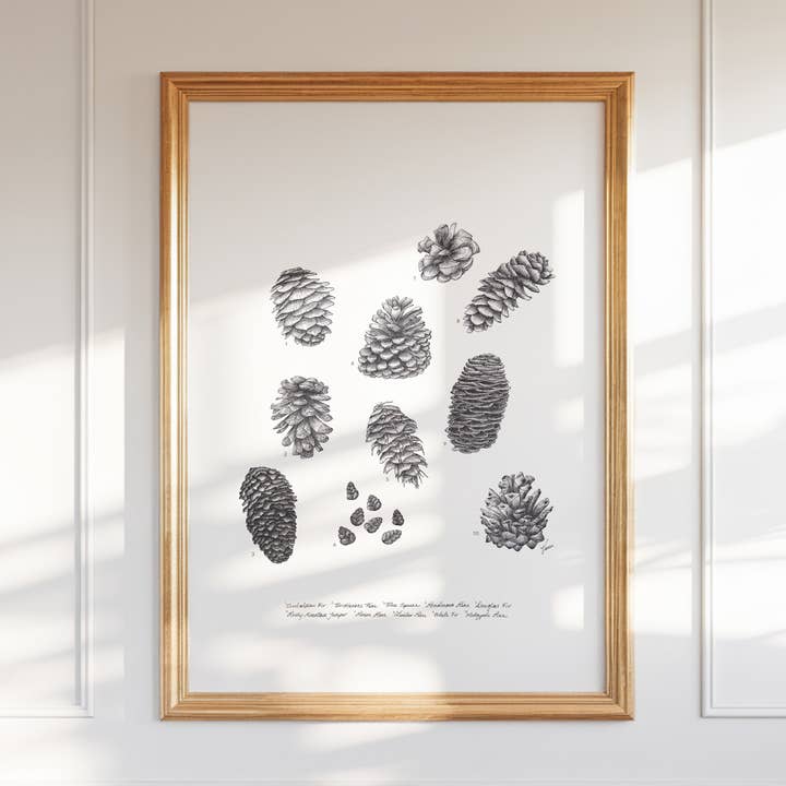 Barrträdkottar Skriv ut för wholesale av Vanee.ink