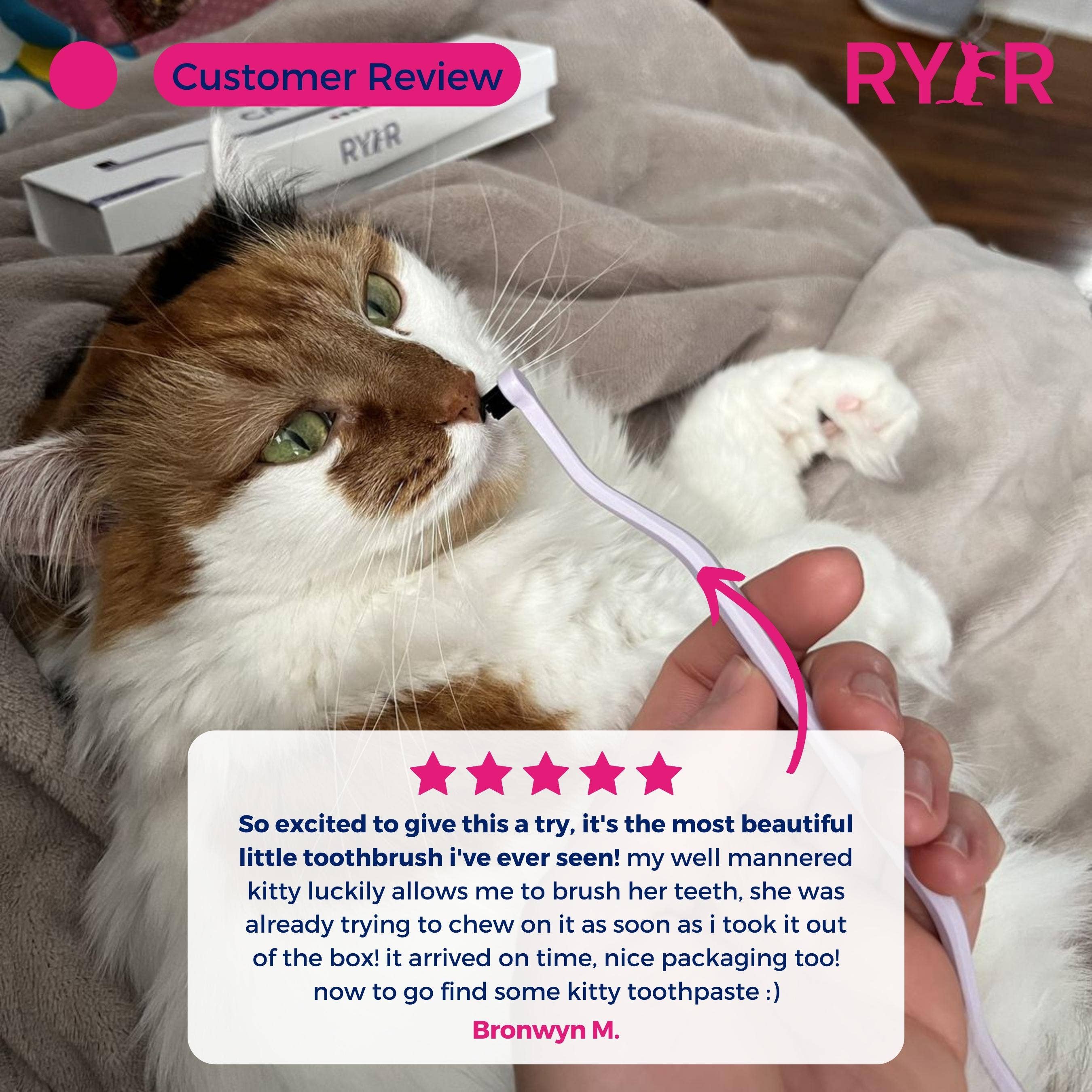 RYERCAT - Vente Brosse – chat et chien - Lot de brosses à dents à micro-tête et double face pour chat, couleurs mélangées !11