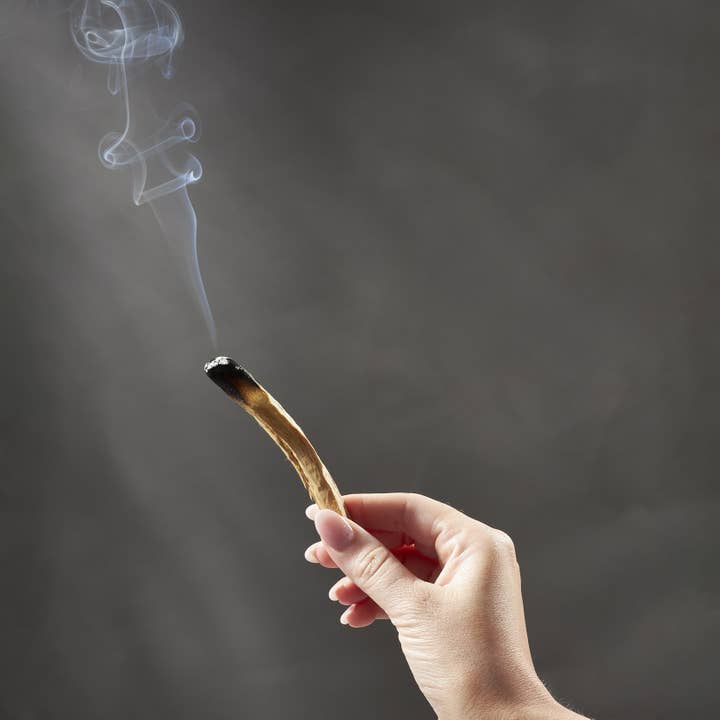 GeoCentral - Wholesale Smudge Stick - Palo Santo Wood Bundle Box - Plastic Free Packaging!