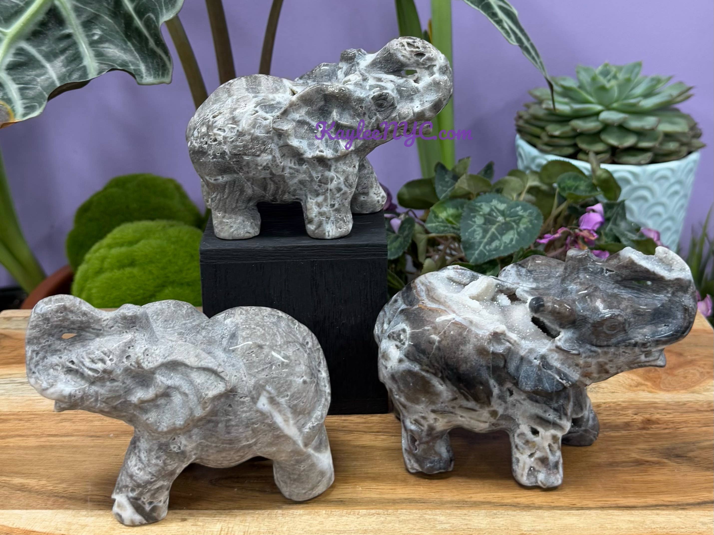 KayleeNYC - Wholesale Spiritual Stone/Crystal - Natural Sphalerite Elephants Healing Energy5