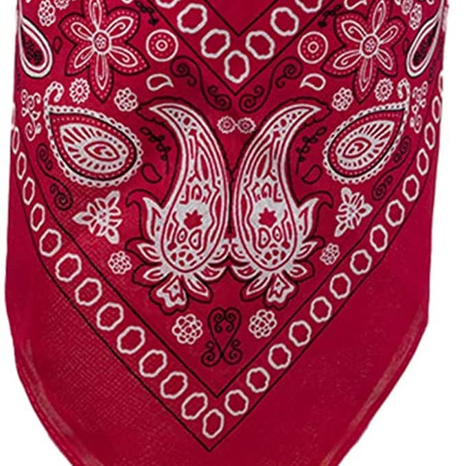 Funky Junque - Wholesale Bandana - Women's - Paisley Printed Cotton Bandanas: Hot Pink