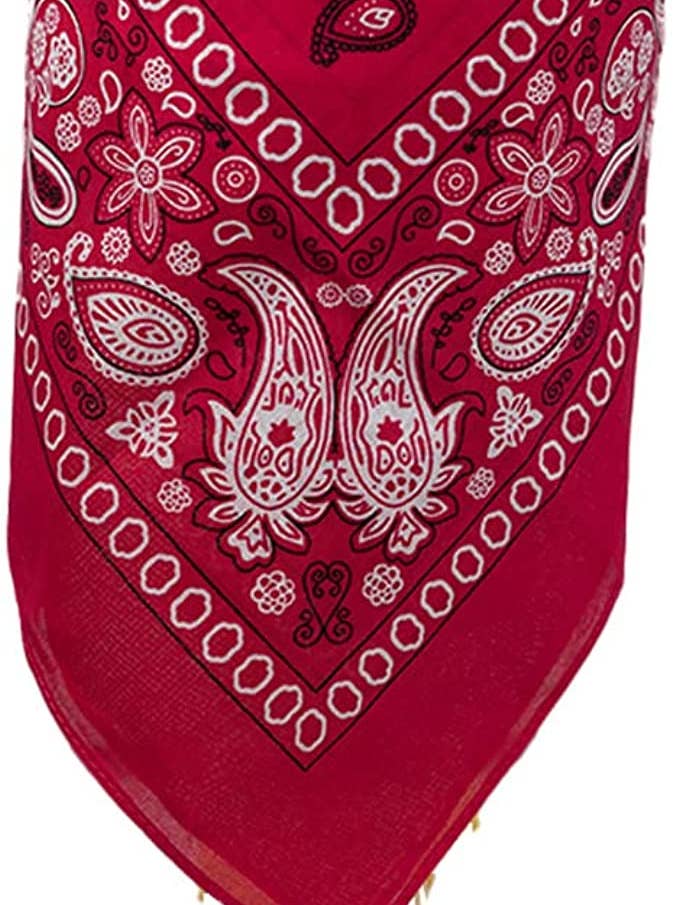 Paisley Printed Cotton Bandanas: Hot Pink for wholesale by Funky Junque