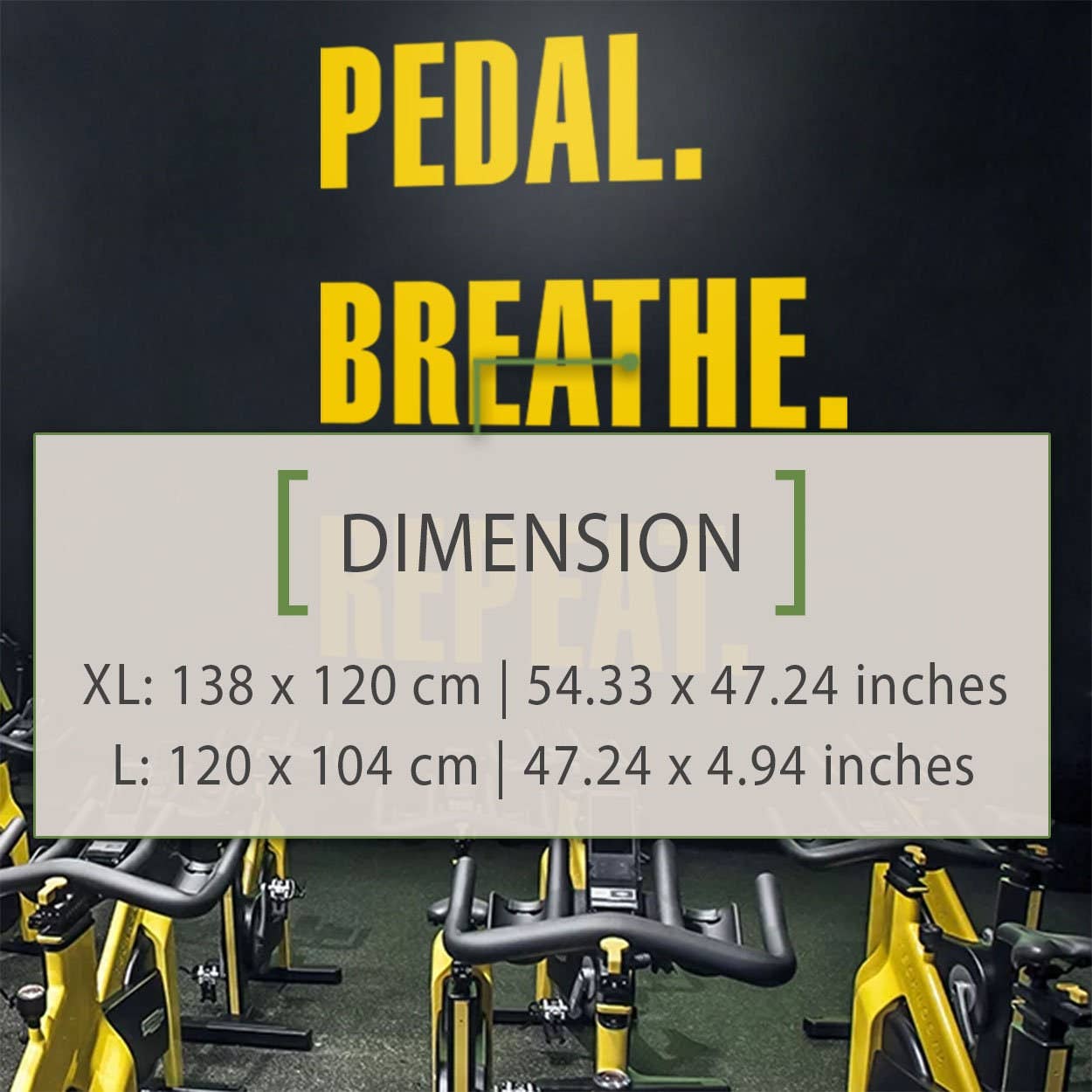 KUARKI - Wholesale Wall Decal/Stickers - Gym Wall Sticker, Cycling, Pedal, Cycling Decals1