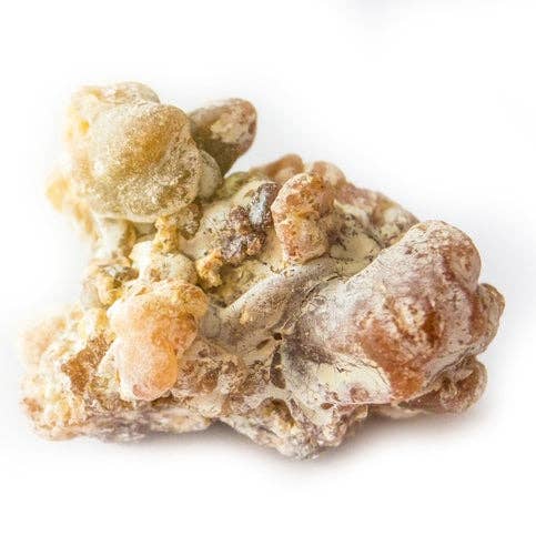 Copaïba pour la vente par Healing Hollow