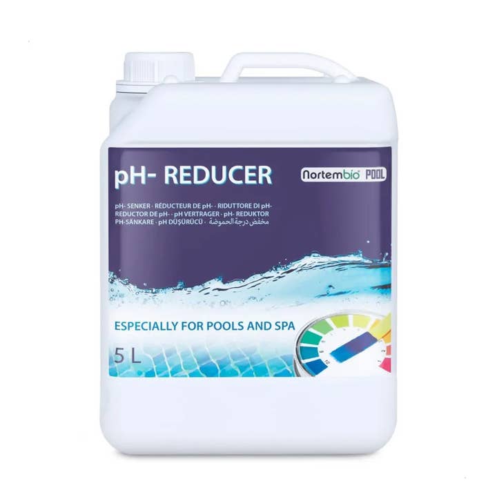 NORTEM BIOTECHNOLOGY GROUP - Wholesale Dried Spice - Ph 5 L Reducer For Pool And Spa. Improve Quality0