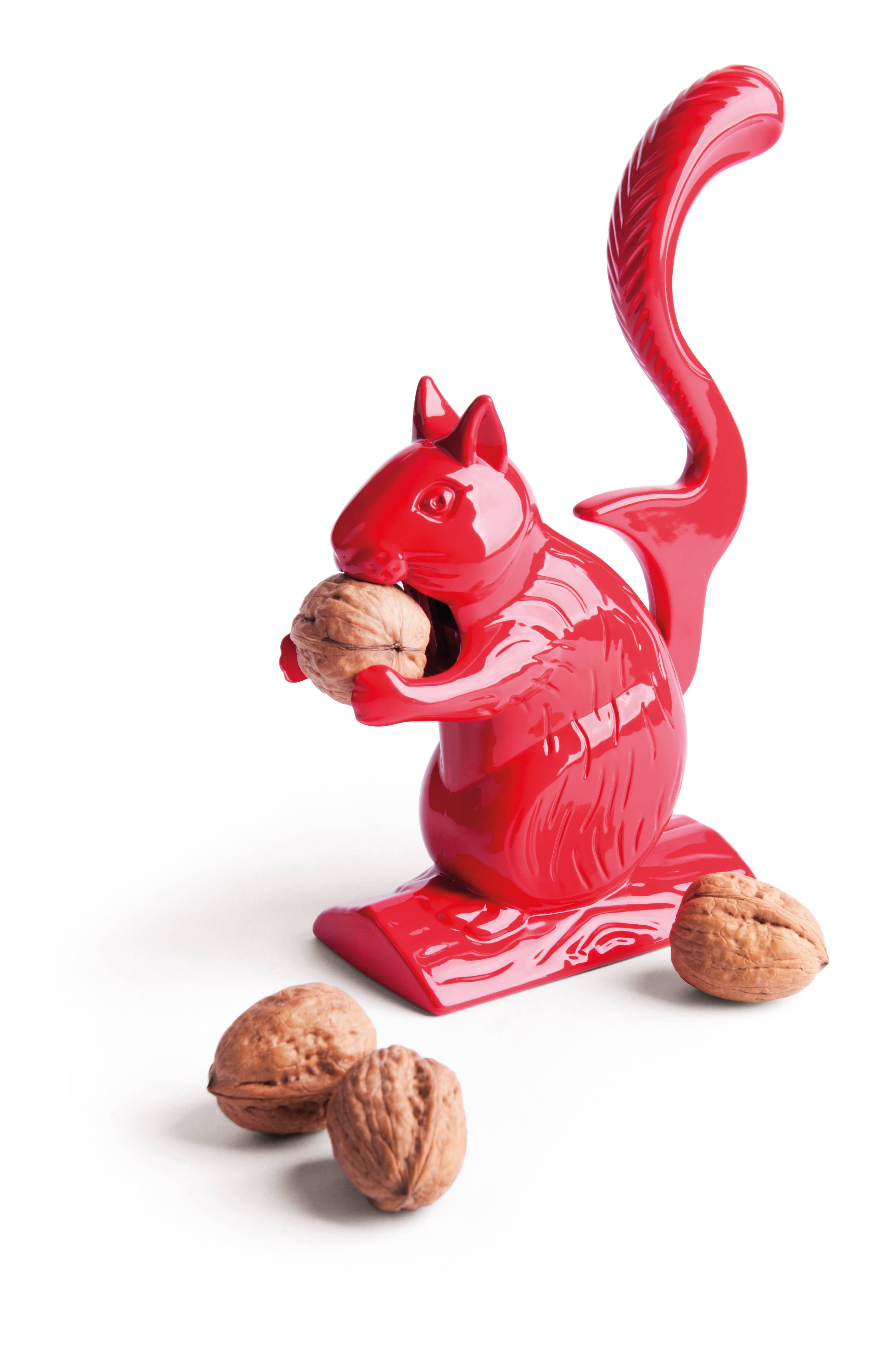 Rosso Rompinoci Squirrel Ros 22.5X15 for wholesale on Faire2