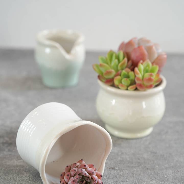 Springer Décor - Wholesale Plant Pot - Small Cutie - White