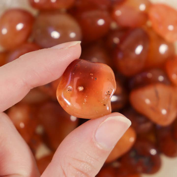 Natures Artifacts Inc - Wholesale Spiritual Stone/Crystal - 1 lb. Carnelian Tumbled Stones (Grade A)3