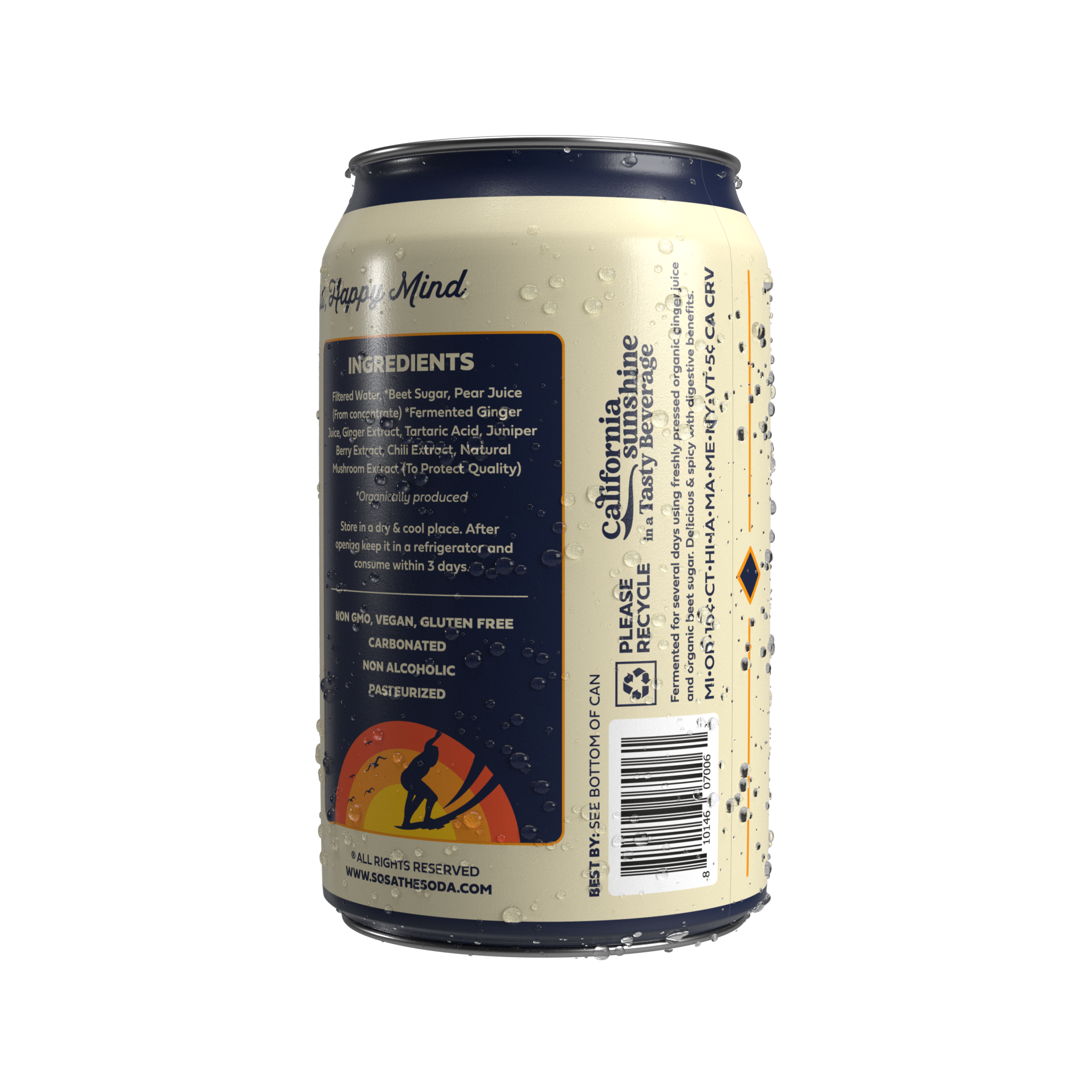 Sosa the Soda – wholesale Soda/kolsyrad dryck – Sosa the Soda Gingerbeer1