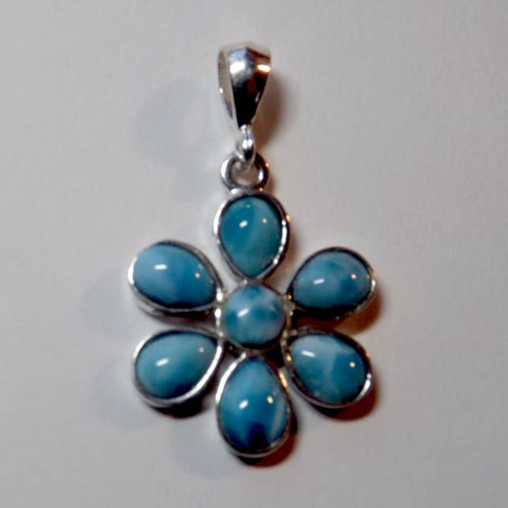 Gänseblü für den Großhandel von Larimarusa