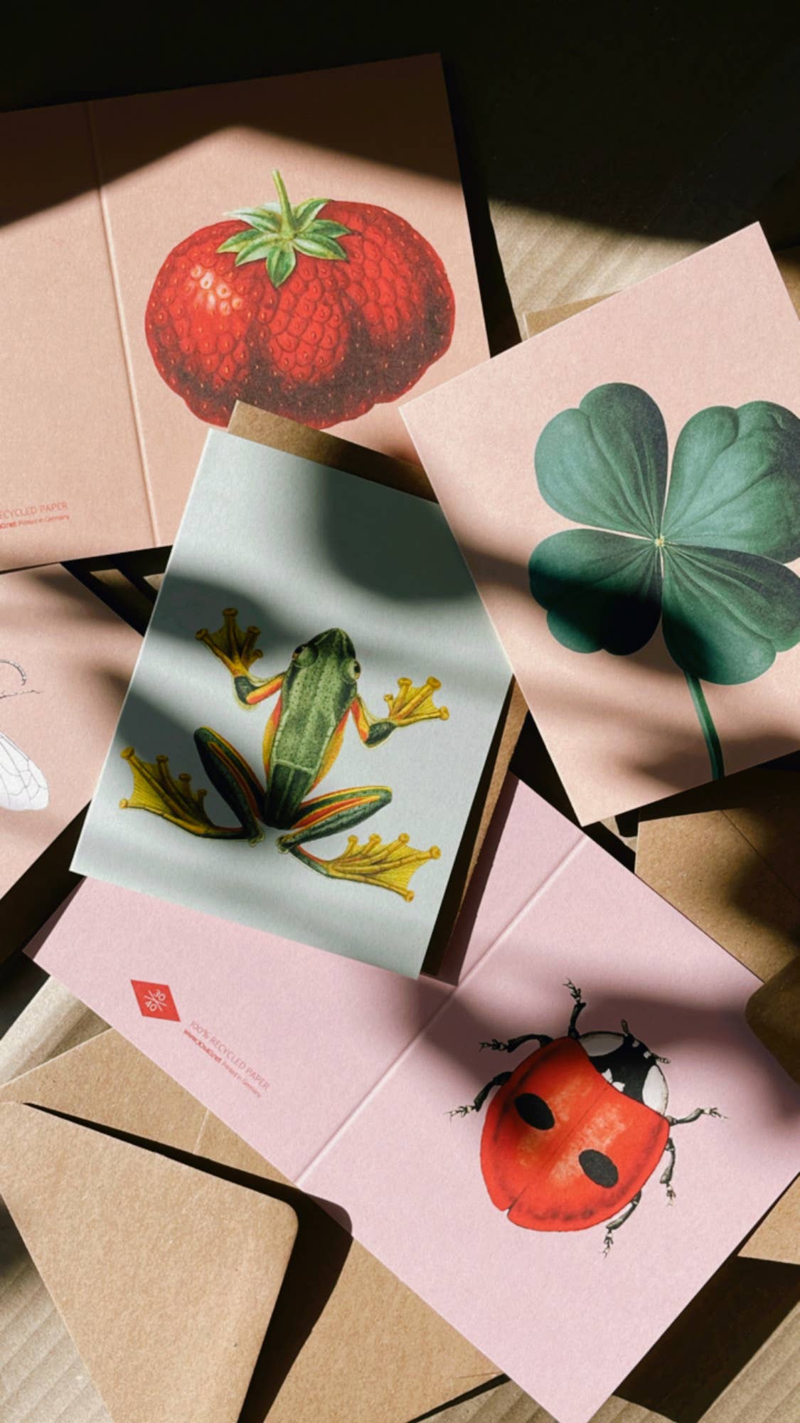 30x40 - Wholesale Everyday Greeting Card - Frog Mini Card3