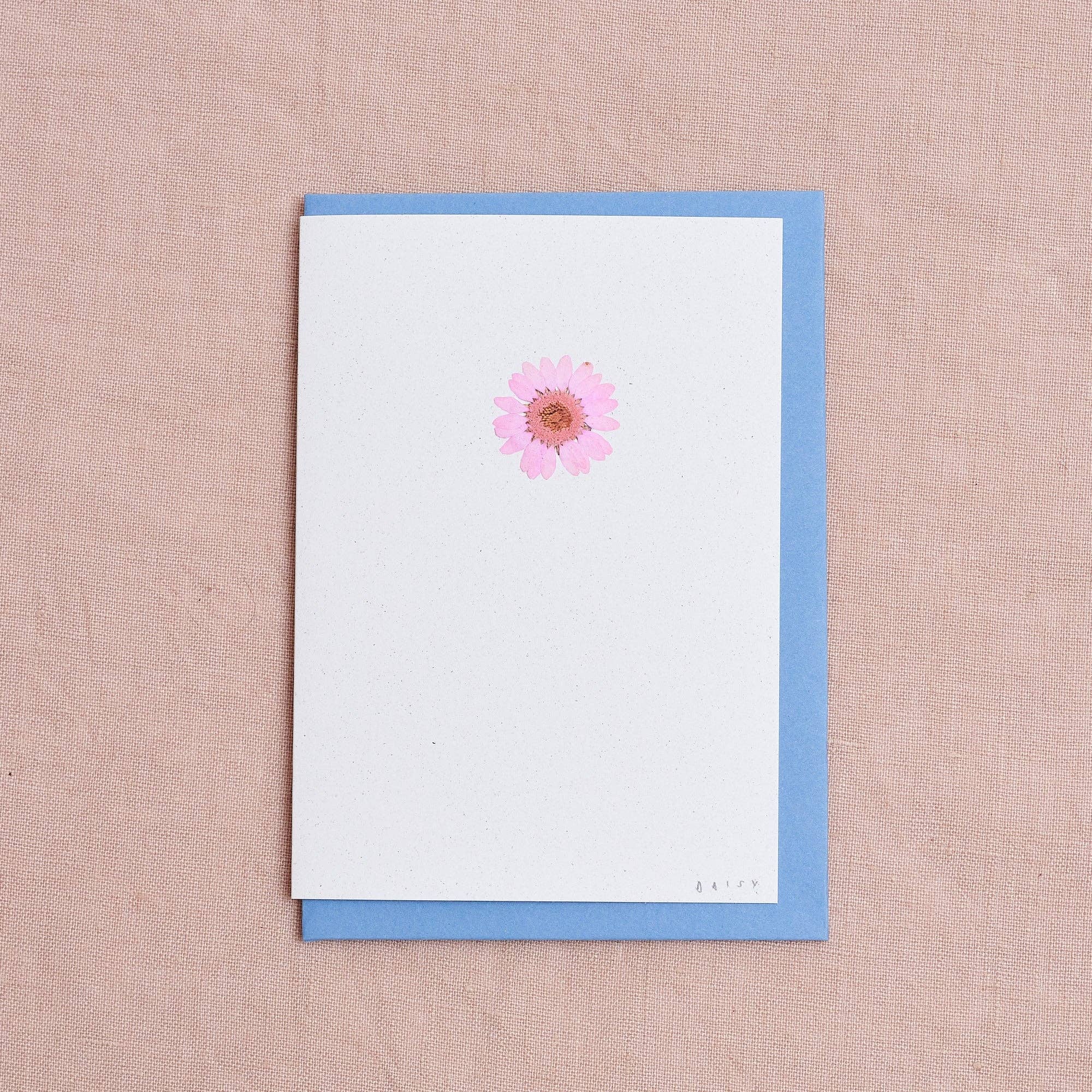 Botanique Workshop - Wholesale Everyday greeting card - Real Pressed Flower Greetings Card : Pink Daisy
