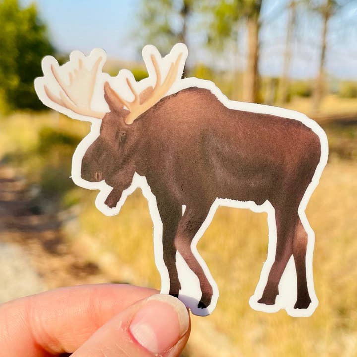 Moose for wholesale by Creatively Leanne