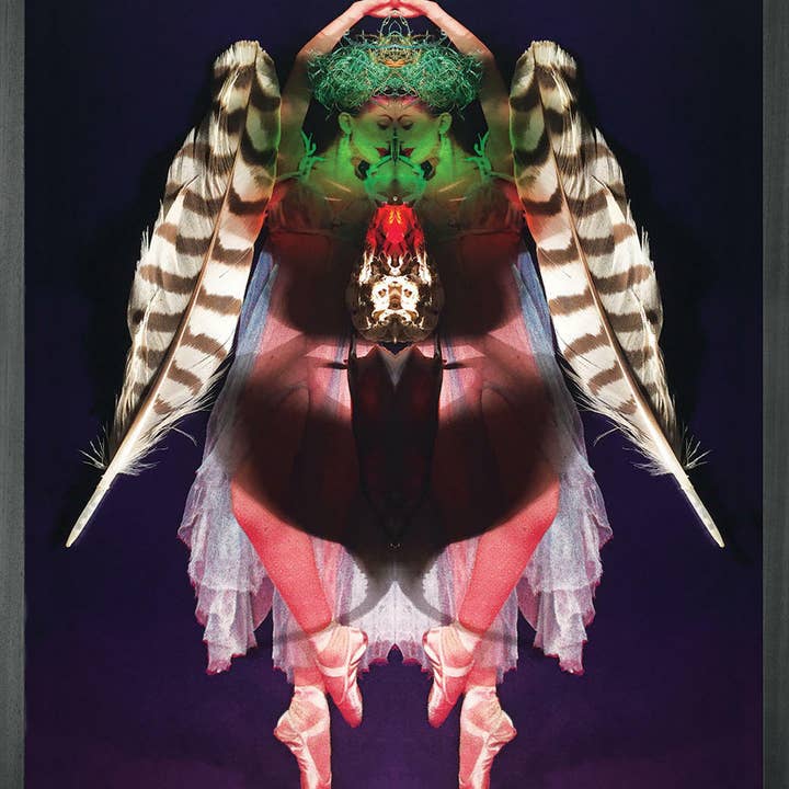 Mineheart - Wholesale Kunstprint - Metamorfose van danser Muurkunst