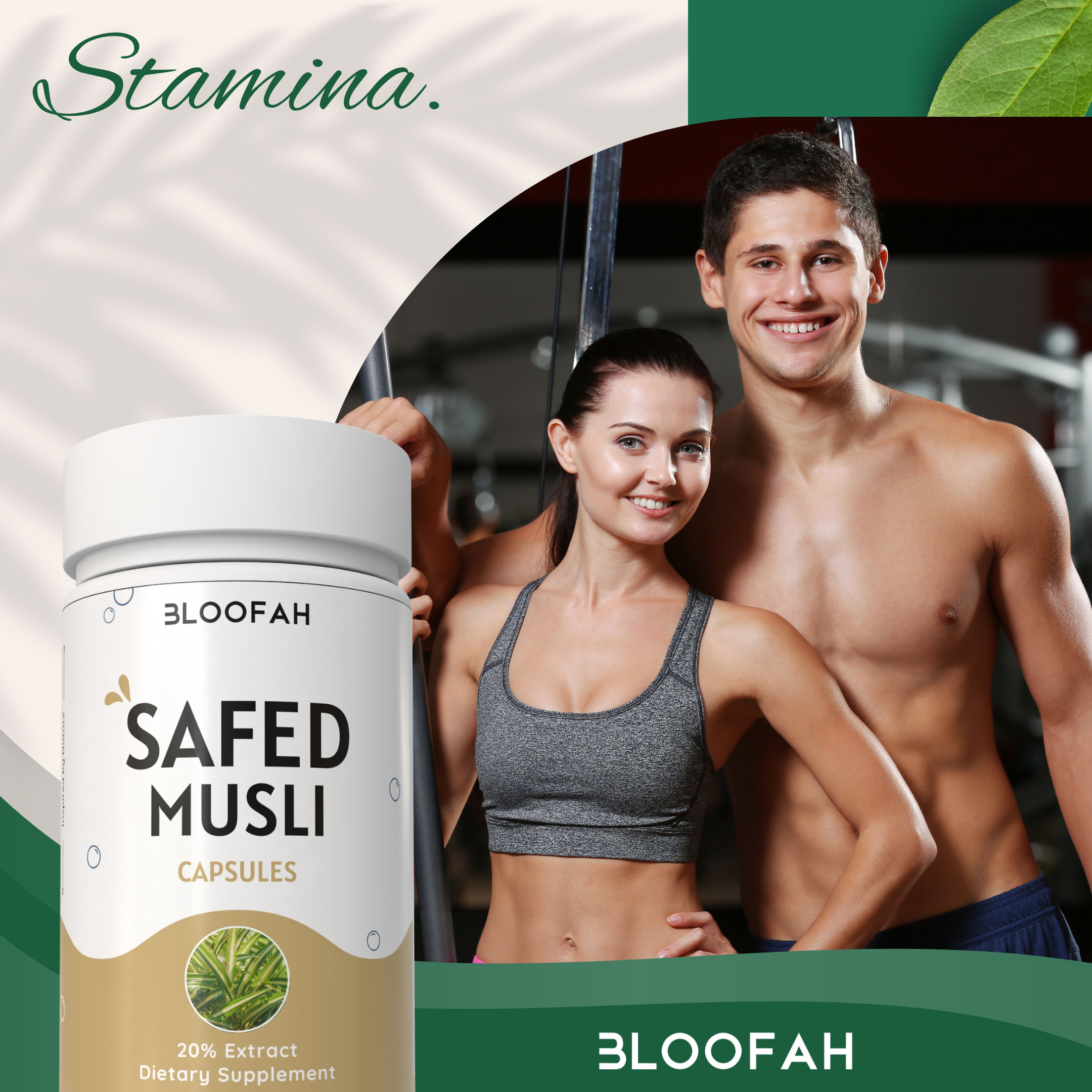 Bloofah – Engroshandel Kosttilskud og vitaminer – Safed Musli Kapsler – 500mg | 20% Ekstrakt, Naturlig, Ikke-GMO6