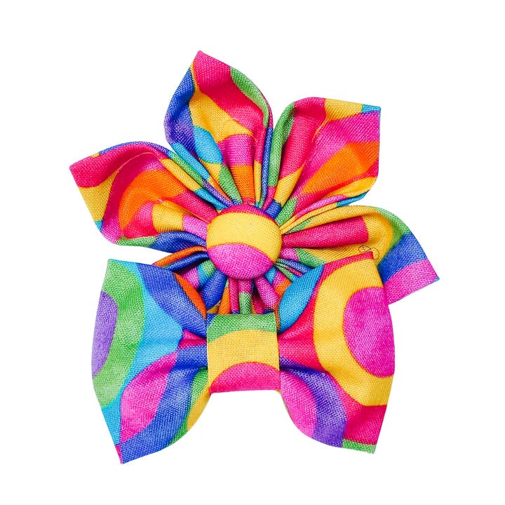 Rainbow Circles Dog Bow Tie and Collar Flower for wholesale by Charlotte's Pet