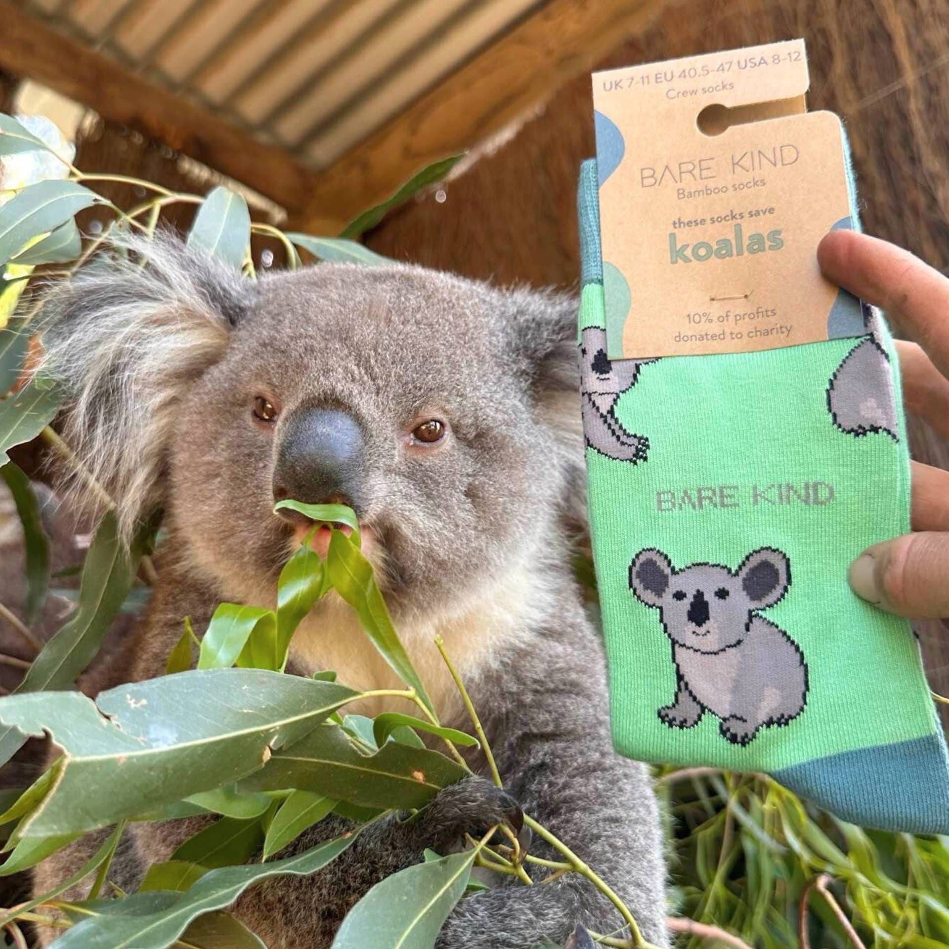 Bare Kind Socks - Wholesale Socks - Unisex - Koala Socks | Bamboo Socks | Green Socks | Australia Socks7