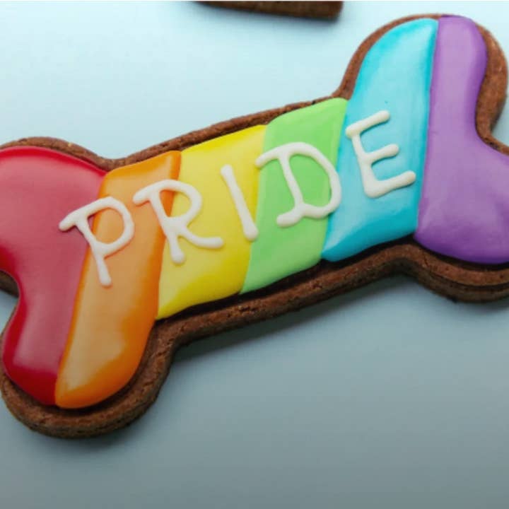 PRIDE Rainbow Dog Bone Biscuit for wholesale by Daniel’s Pet Emporium