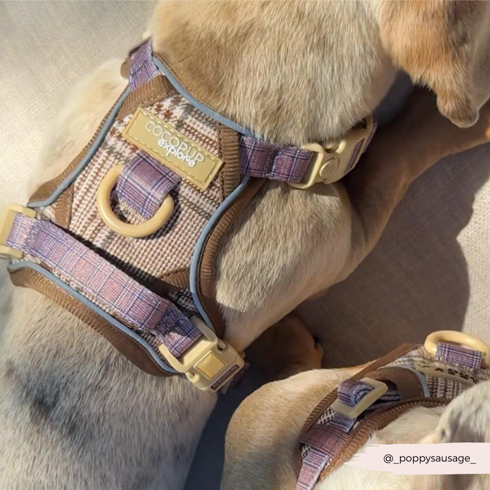 Cocopup London – wholesale Pet harness – Dog – Explore Harness - Pup Plaid10