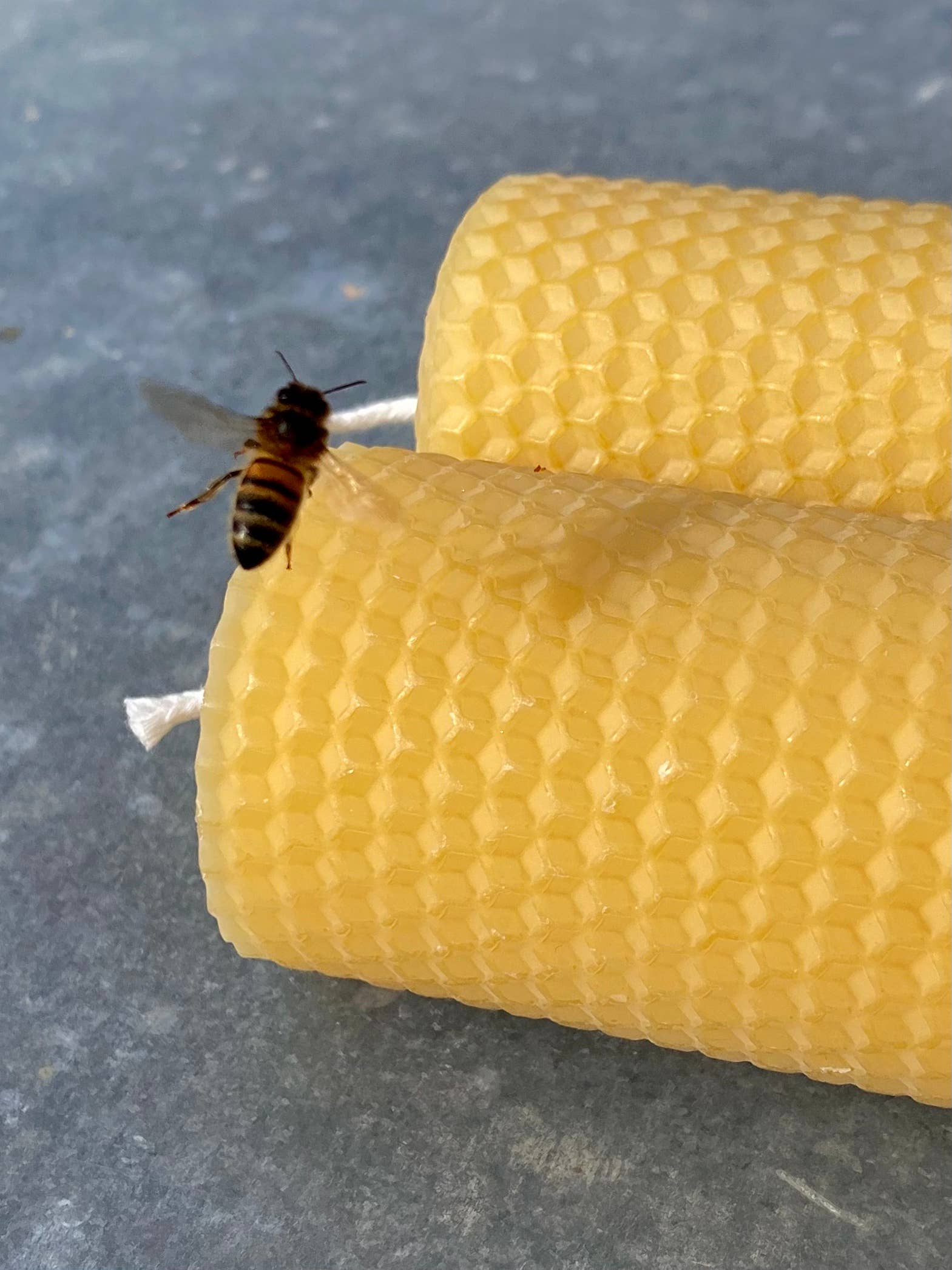 La Manufacture du Miel - Wholesale Novelty Candle - Noon "70H" - Beeswax candle (approximately 300g)1