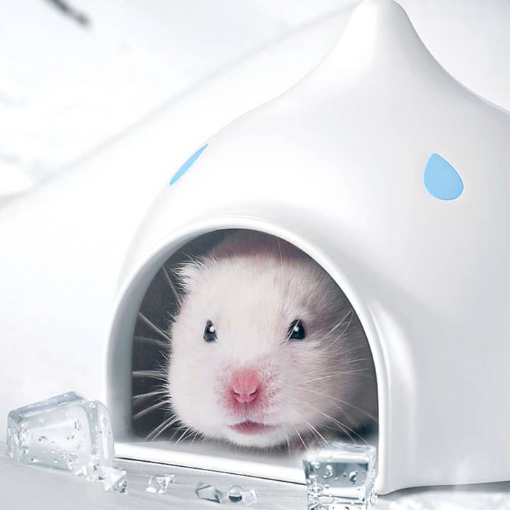 Curatepet - Wholesale Pet Toy - Not Cat/Dog - Stylish Dwarf Hamster Ceramic Hide Hydro Hut