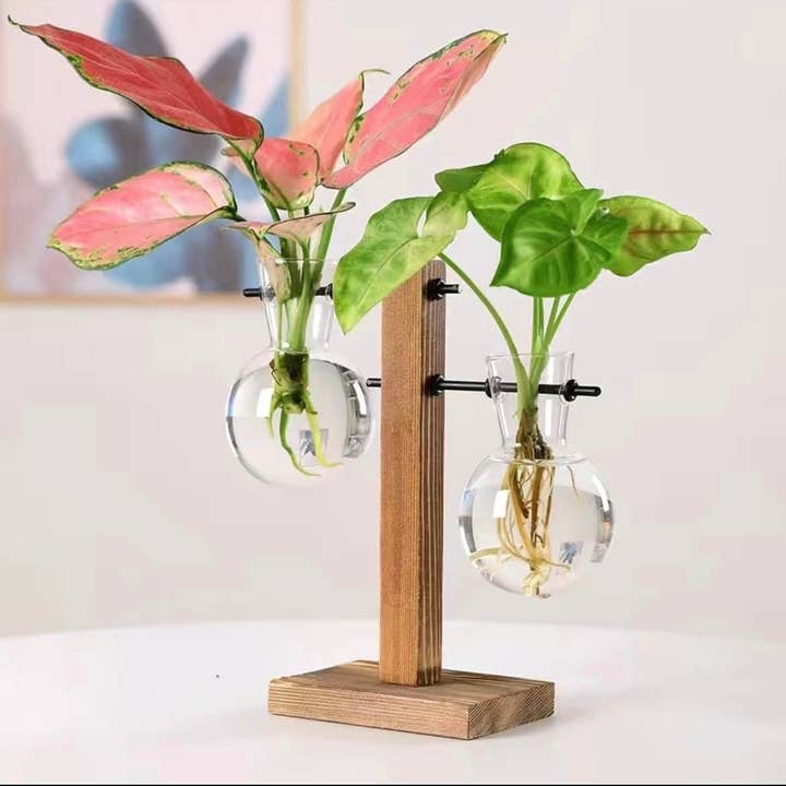 Monroe Meadow Boutique - Wholesale Plant Pot - Hydroponic Planter, Flower Pot, Mini Plant