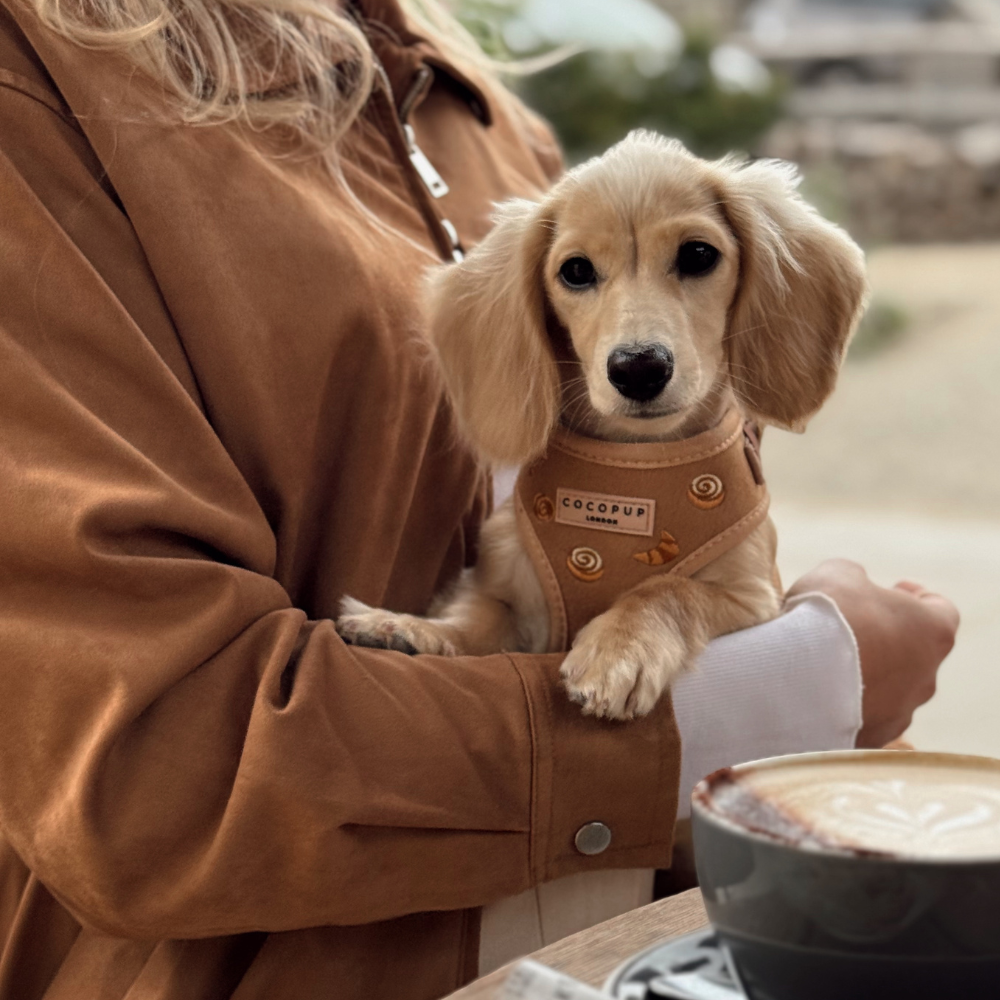 Cocopup London - Wholesale Pet Harness - Dog - Pawtisserie Adjustable Neck HARNESS14