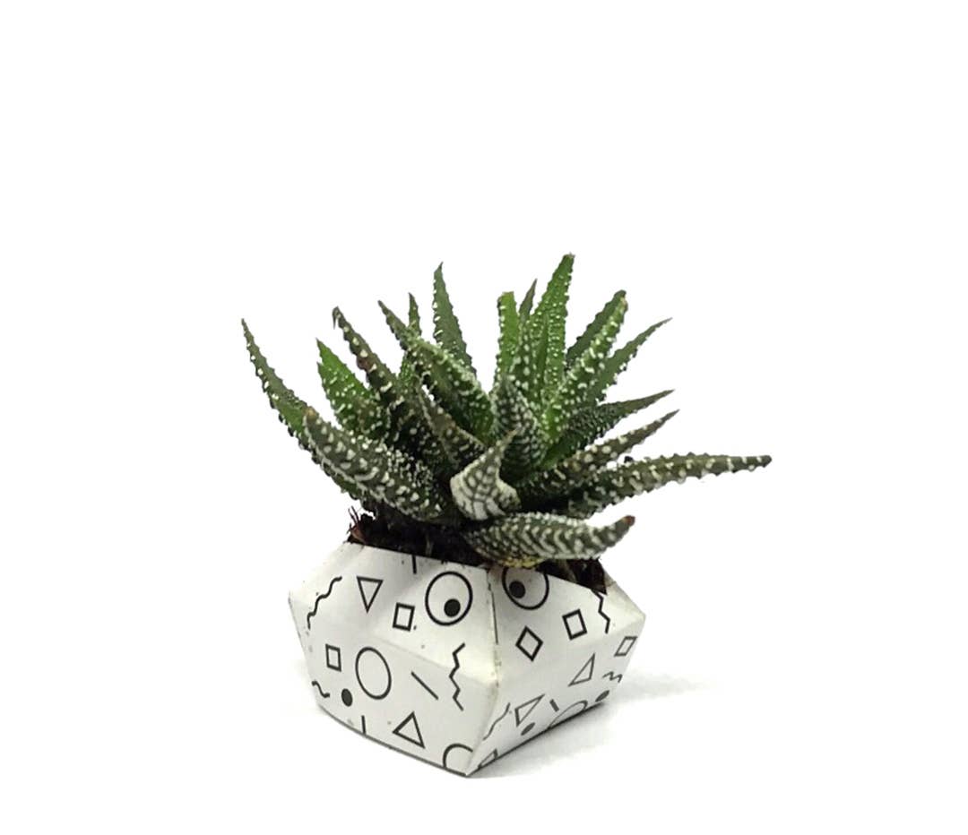 OriBon - Wholesale DIY Craft Kit - 3 OriBon - Modern collection7