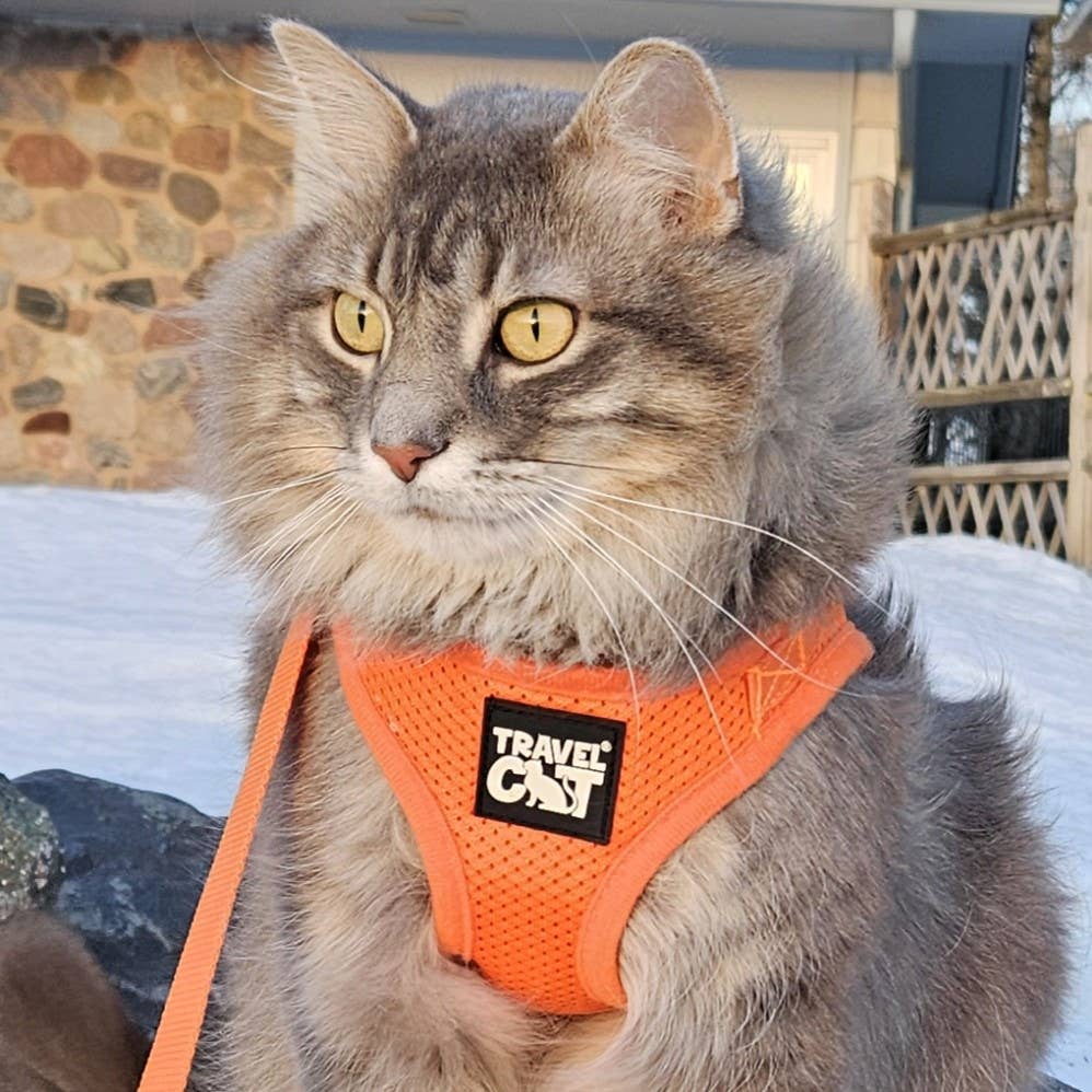 Travel Cat Wholesale – wholesale Pet harness – Cat – "The True Adventurer" Reflective Cat & Kitten Harness14
