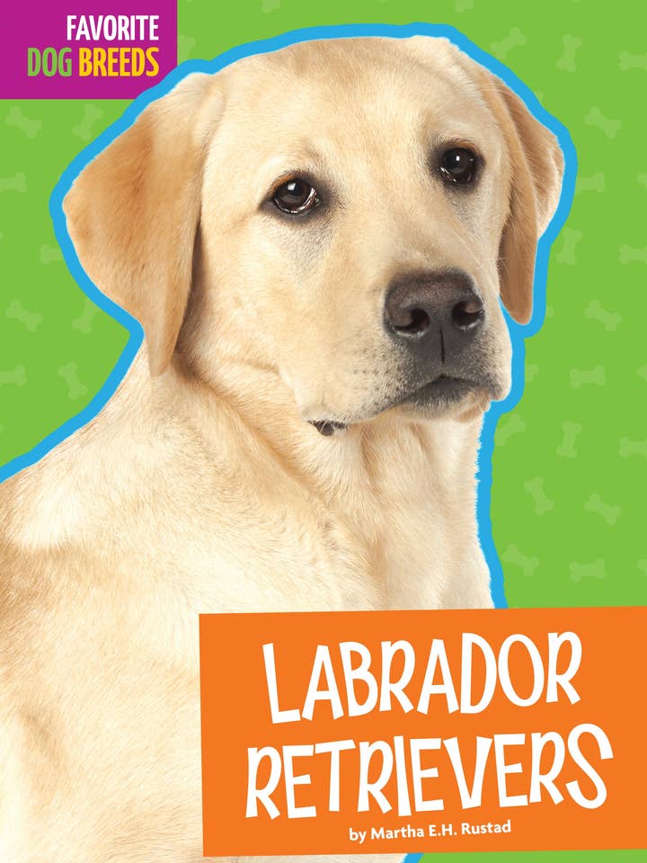 Labrador Retriever für den Großhandel von Amicus Publishing