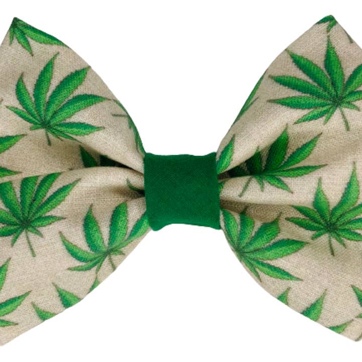 DOPE DAYS W*ed Dog Bow for wholesale by Cutie Pawtootie