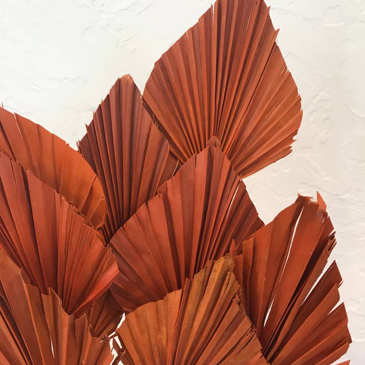 Wilco Home - Wholesale Dried/Pressed Flowers - 10 PC Dried Palm Spear Drop-in Bouquet7