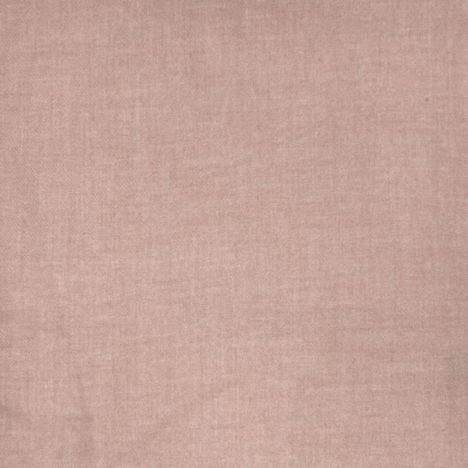 London Scarves - Wholesale Scarf - Women's - Classic Plain Cashmere Blend with Tassels  300 gr +22