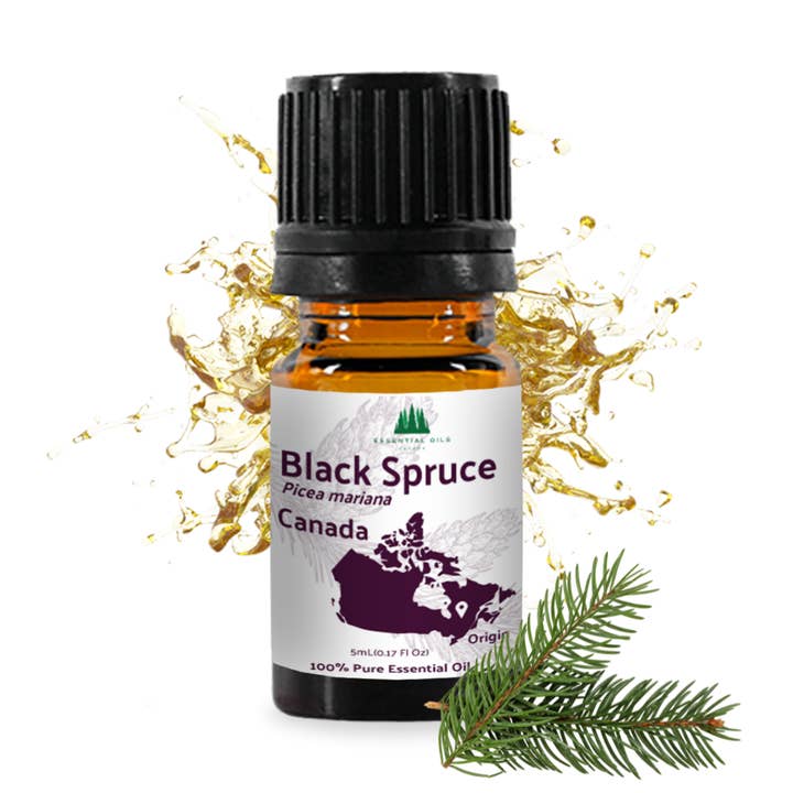 Huile essentielle d'épinette noire - 100 % pure - Farm-Direct Sourcing pour la vente par Nature Packaged