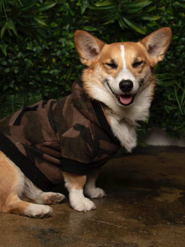 MANTEAU SID CAMO pour la vente par Maxine Avenue NYC by Funari