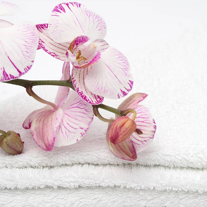 Buckley & Phillips Aromatics - Wholesale Fragrance oil - Fresh Linen Fragrance Oil3