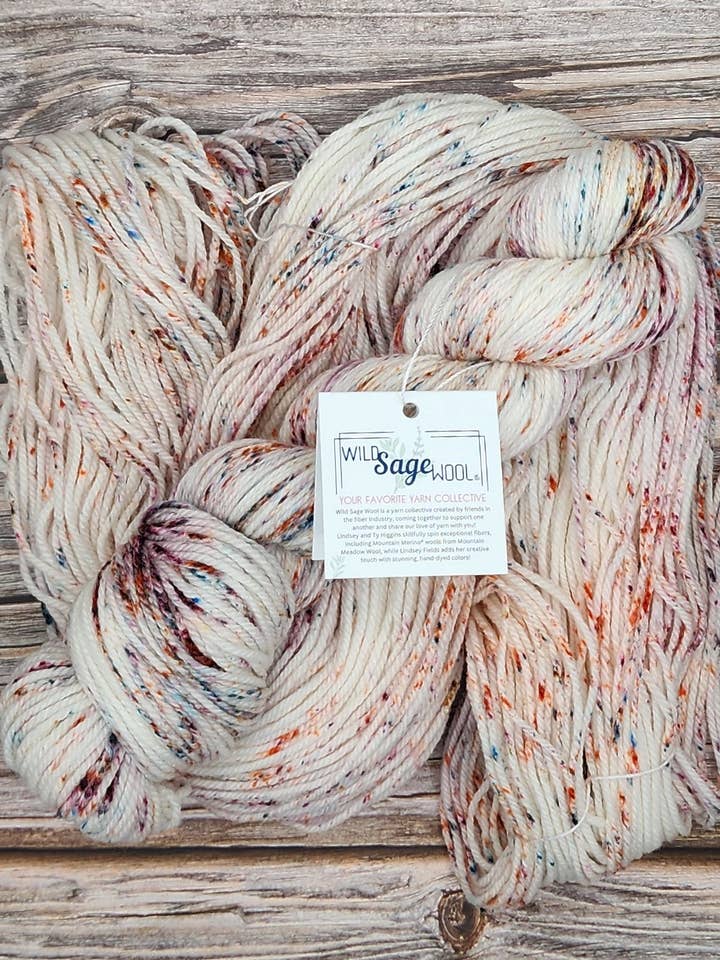 Campfire Confetti - DK - RTS for wholesale by Wild Sage Wool