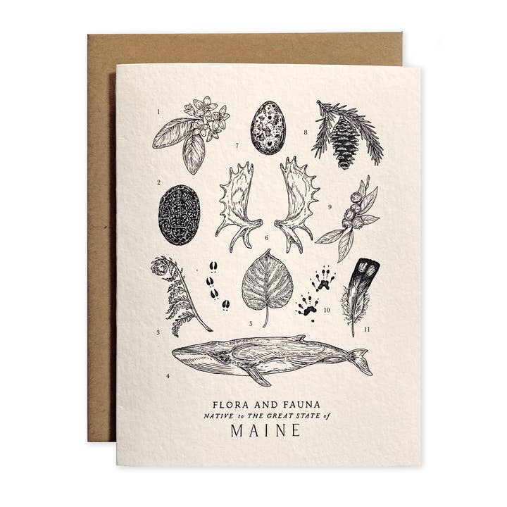 Maine Field Guide Greeting Card for wholesale by The Wild Wander