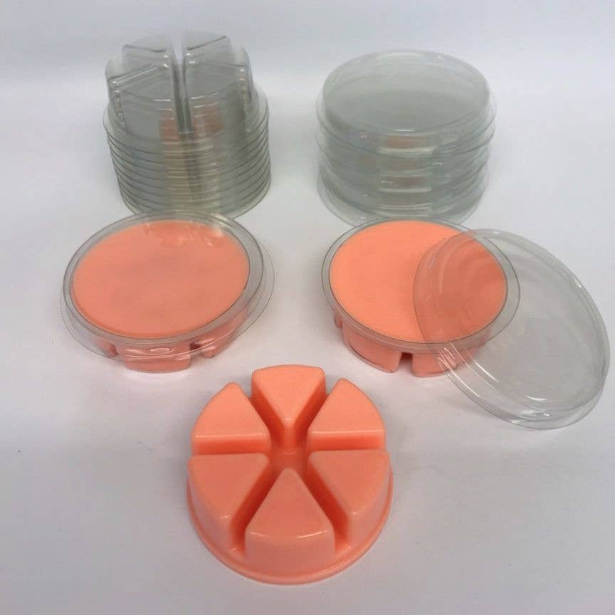 Starlight Wholesale LLC. - Venta al por mayor Ceras perfumadas - Contenedor con tapa en forma de concha de 6 cavidades para tartas (Estilo europeo)1