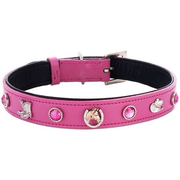 Concha Collar – Großhandel Haustierhalsband – Katze/Hund – Western-Kragen
