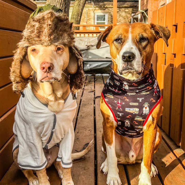 Pittie Clothing Co. - Wholesale Pet Shirt - Dog - *PRE-ORDER* Pitter's Full Muscle Tee2