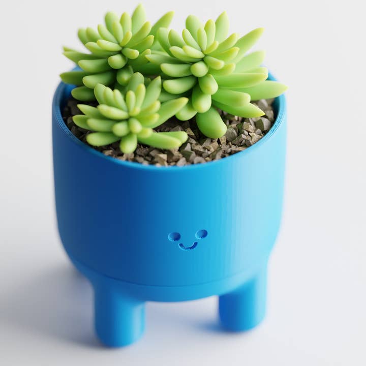 The Butler's Company - Wholesale Plant pot - Happy Smiley Face Planter with Drip Tray Solid Colors11