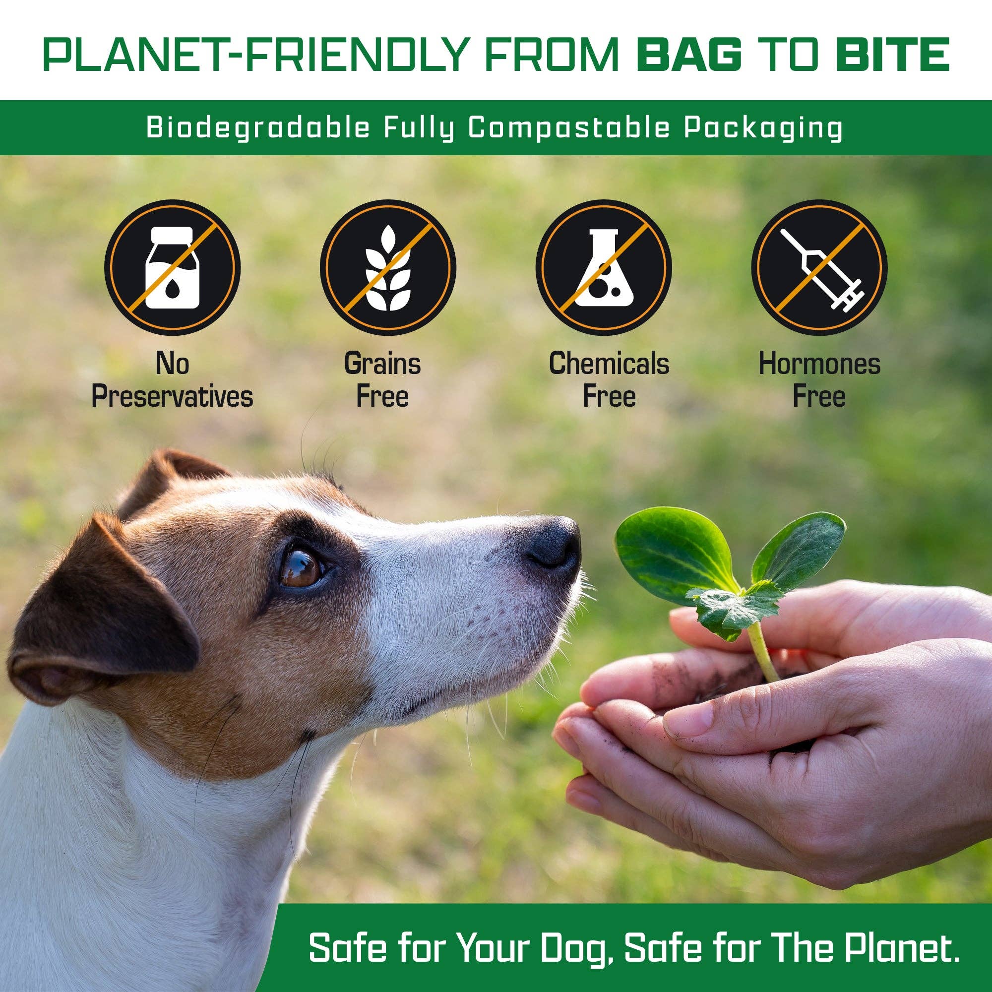 Invirox - Wholesale Pet Treats - Dog - 25 - Bully-Sticks For Dogs - 100% Natural, Grass-Fed Beef, One Ingredient4