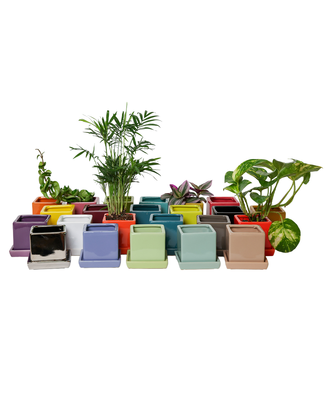 Chive - Wholesale Plant Pot - Cube Pot With Saucer And Drainage Hole 60 Plus Colors24